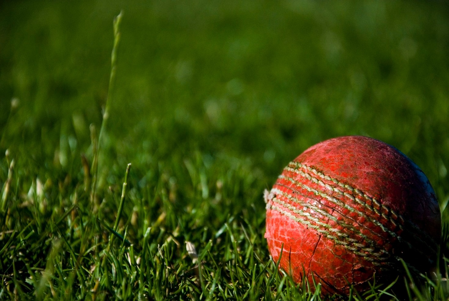 A Beginner’s Guide to Online Cricket Betting